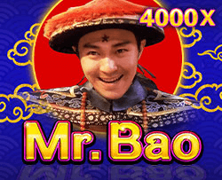 MR.BAO